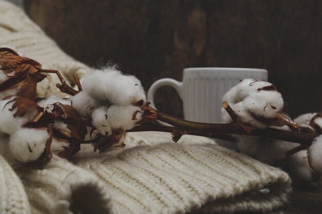 Flores de algodón en mesas de madera en mesa de madera