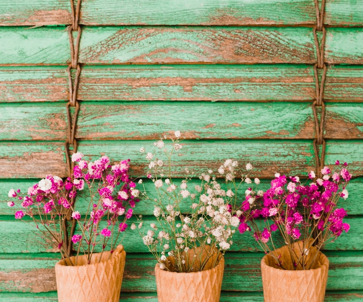 Foto gratuito flores de aliento rosa y blanco en el cono sobre fondo de madera