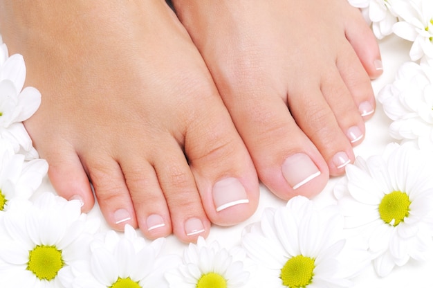 Foto gratuita flores alrededor de hermosos pies femeninos con la pedicura francesa