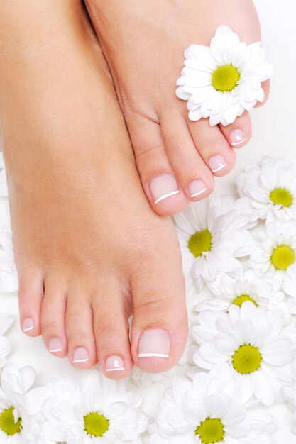 Flores alrededor de pies de mujer bien cuidados con la pedicura de belleza