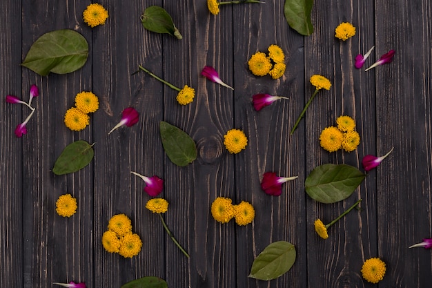 Flores amarillas y pétalos de clavel cerca de las hojas