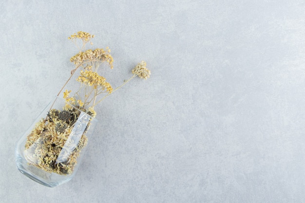 Foto gratuita flores amarillas secas en vaso