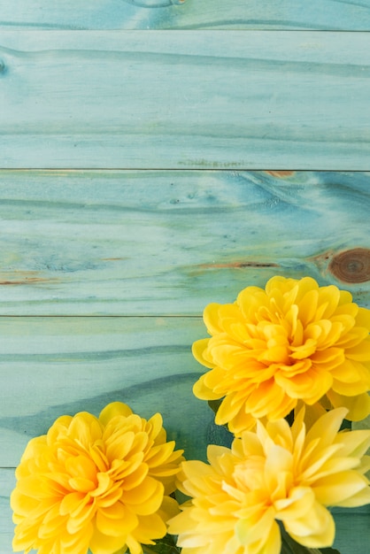 Foto gratuita flores amarillas sobre tablero amarillo.