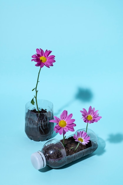 Flores de ángulo alto que crecen en botellas de plástico