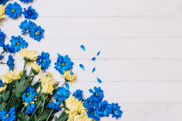 Flores azules y blancas