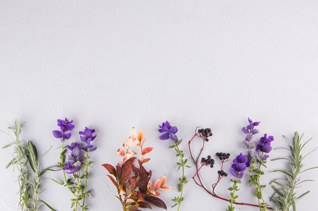 Flores azules con ramas de plantas en mesa