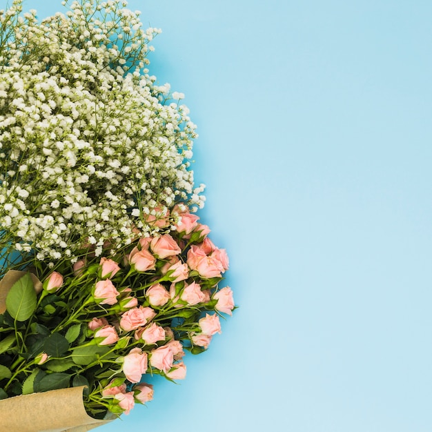 Flores blancas de aliento y rosas rosadas sobre fondo azul