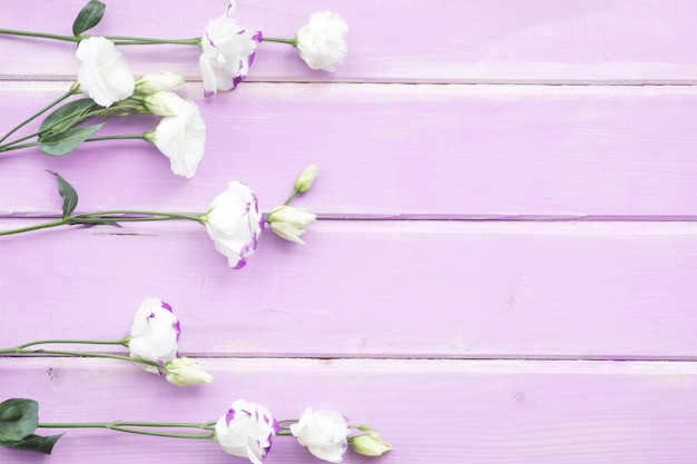 Flores blancas con brote en fondo de madera pintada rosa