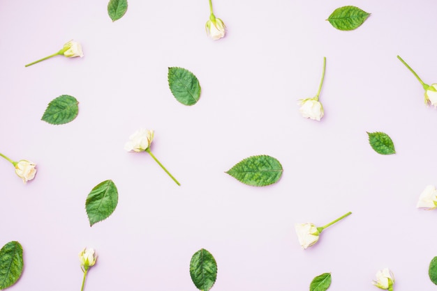 Flores blancas cerca de las hojas