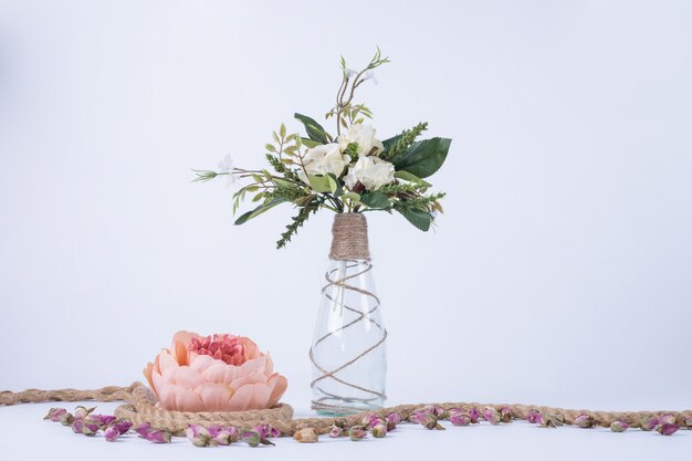 Flores blancas en jarrón de vidrio sobre blanco con una sola rosa.