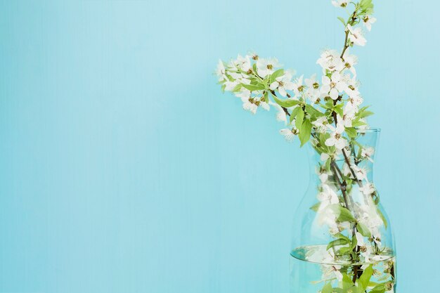 Flores blancas en un jarrón