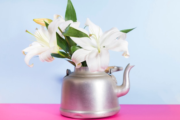 Flores blancas en una olla de té