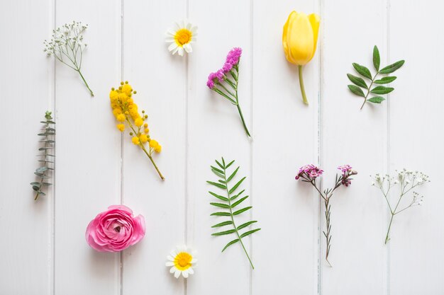 Flores bonitas sobre superficie de madera blanca