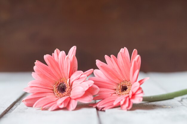 Flores bonitas sobre superficie de madera