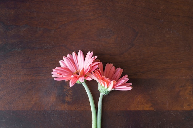 Flores bonitas sobre superficie de madera