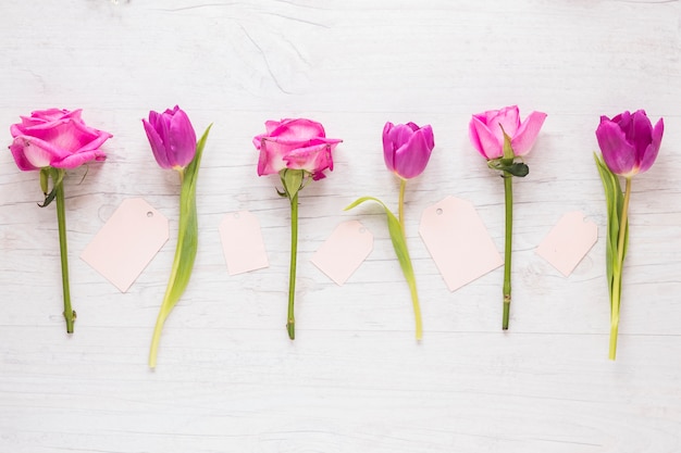 Foto gratuita flores brillantes con pequeños papeles sobre mesa.