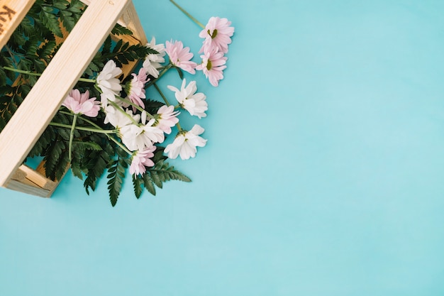 Foto gratuita flores en caja de madera