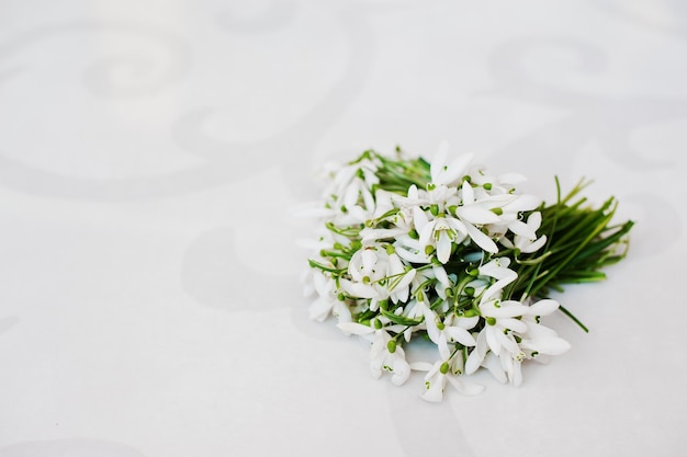 Flores de campanilla blanca en el fondo de brillo blanco