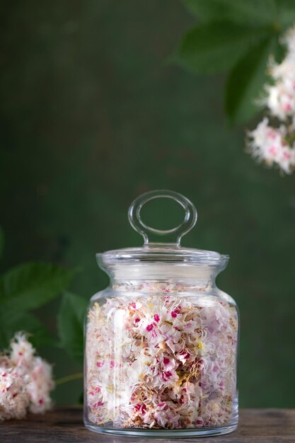 Flores de castaño de caballo en un frasco de vidrio Producción de medicamentos comprimidos tinturas