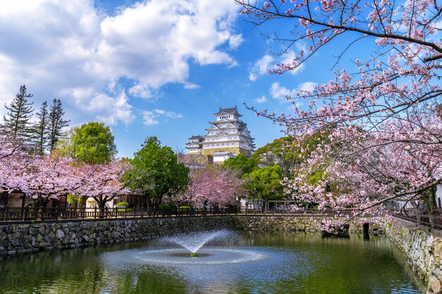 Flores de cerezo y castillo en Himeji, Japón.