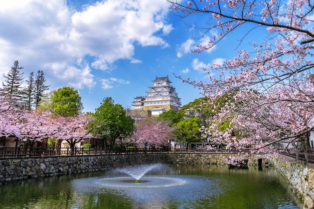 Flores de cerezo y castillo en Himeji, Japón.