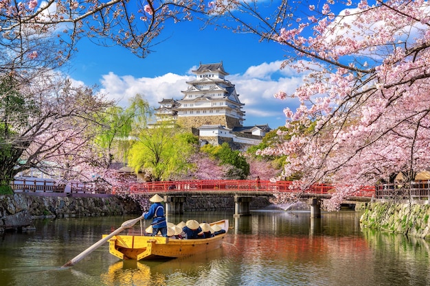 Flores de cerezo y castillo en Himeji, Japón.