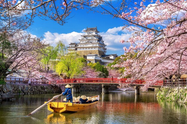 Flores de cerezo y castillo en Himeji, Japón.