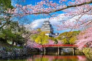 Foto gratuita flores de cerezo y castillo en himeji, japón.