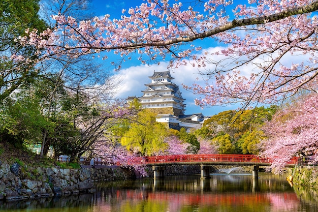 Flores de cerezo y castillo en Himeji, Japón.