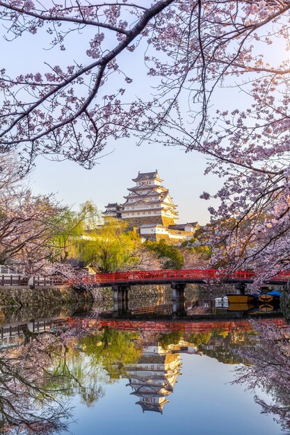 Flores de cerezo y castillo en Himeji, Japón.