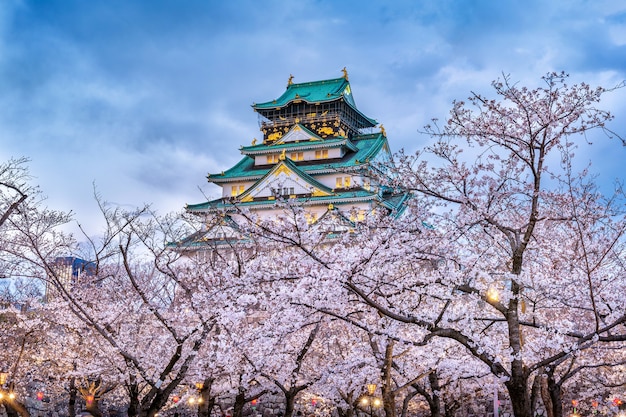 Flores de cerezo y castillo en Osaka, Japón.