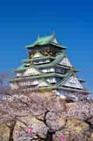 Foto gratuita flores de cerezo y castillo en osaka, japón.