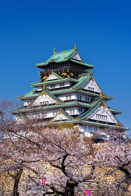 Flores de cerezo y castillo en Osaka, Japón.