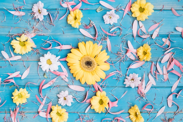 Foto gratuita flores colocadas sobre pétalos