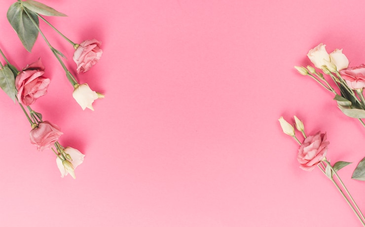 Foto gratuito flores color de rosa brillantes en fondo rosado