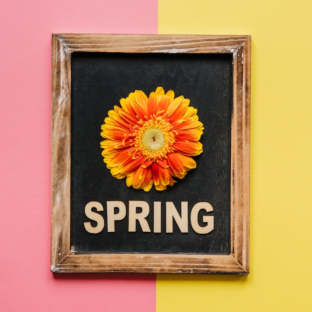 Flores de colores y pizarra de primavera