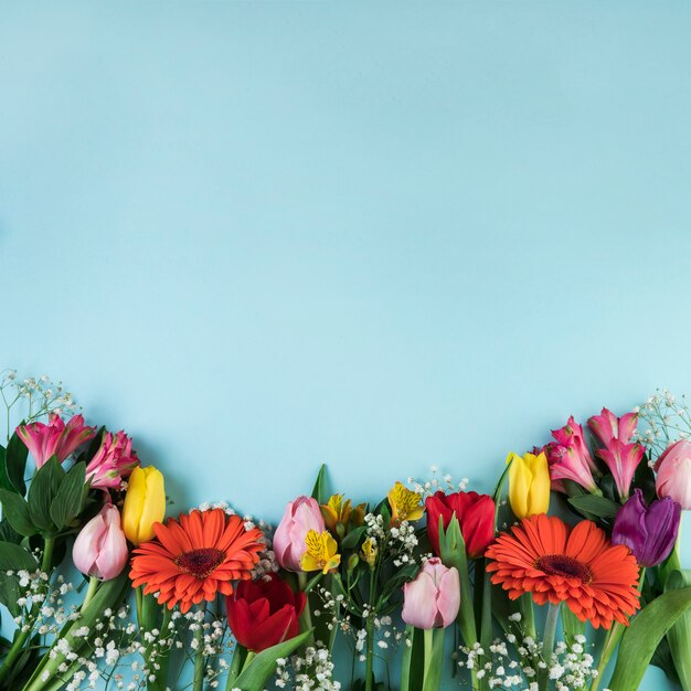 Flores coloridas en superficie azul con espacio de copia para escribir el texto