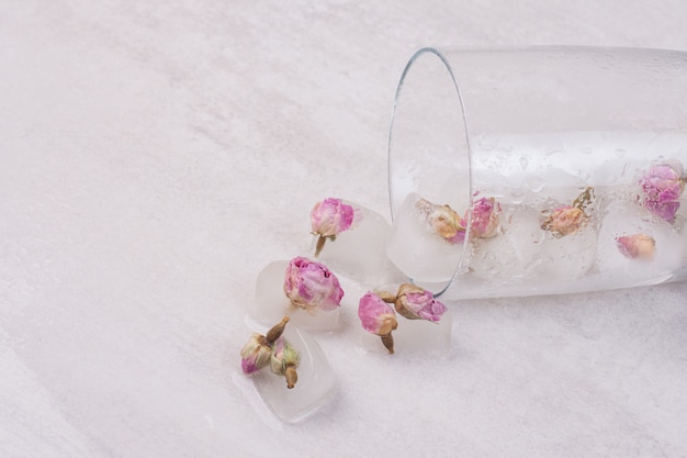 Flores congeladas en cubitos de hielo sobre superficie blanca.