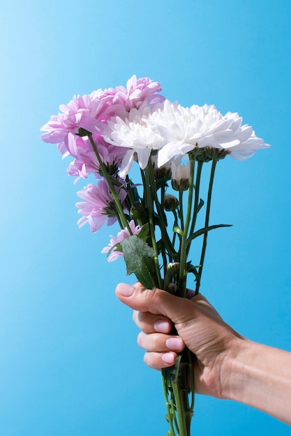 Foto gratuita flores contra el cielo