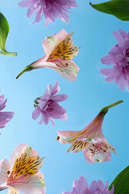 flores contra el cielo