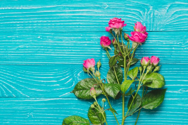 Flores decorativas bonitas sobre superficie de madera