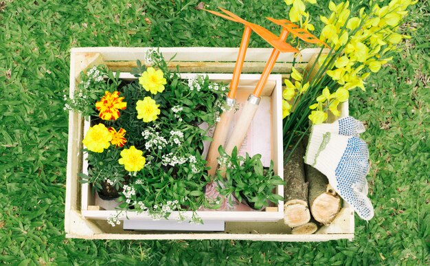 Flores y equipamiento de jardín en caja de madera.
