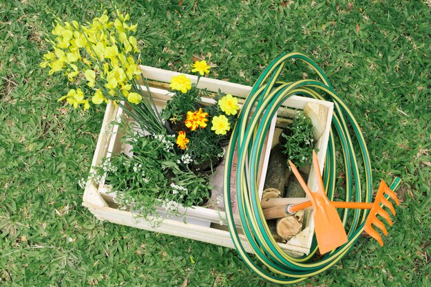 Flores y equipo de jardinería en contenedor de madera en prado.