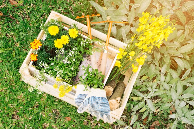 Flores y equipo de jardinería en contenedor de madera.