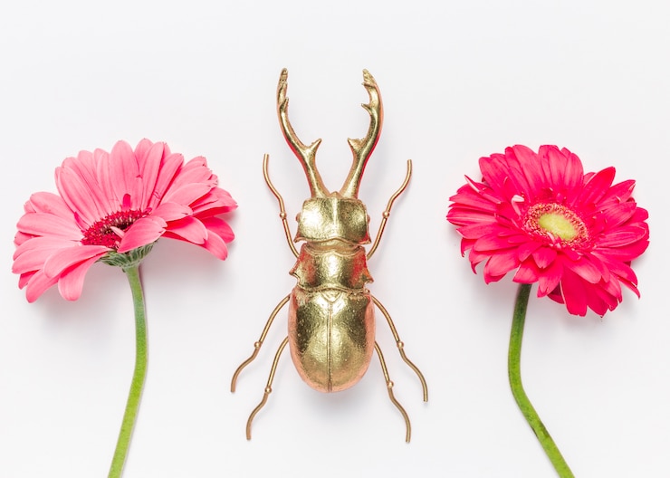Foto gratuito flores y escarabajo