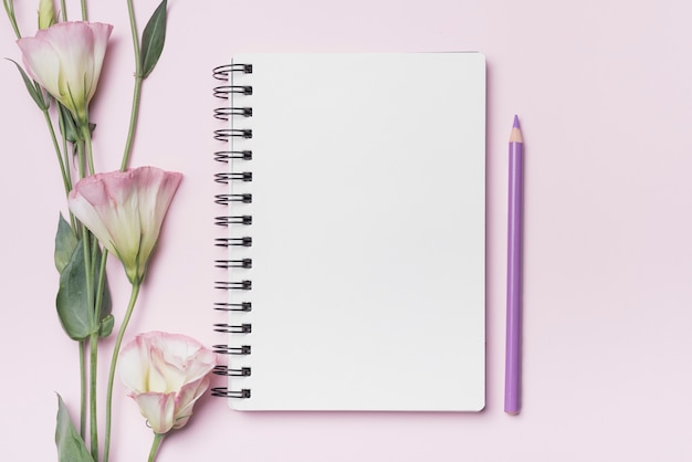 Flores de Eustoma con cuaderno espiral en blanco con lápiz púrpura sobre fondo rosa