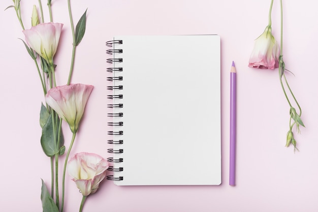 Foto gratuita flores de eustoma; cuaderno espiral en blanco con lápiz púrpura sobre fondo rosa