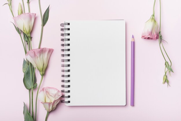 Flores de eustoma; Cuaderno espiral en blanco con lápiz púrpura sobre fondo rosa