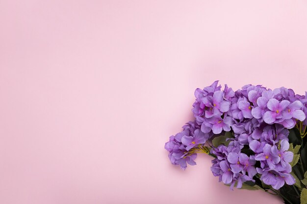 Flores de flor con espacio de copia