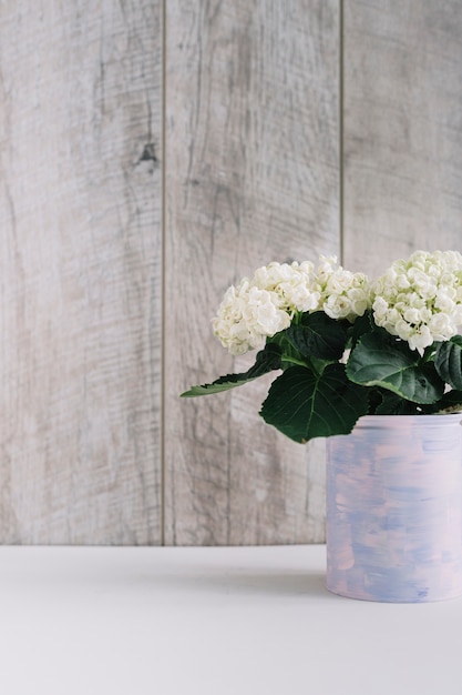 Foto gratuita flores florecientes blancas en lata pintada.